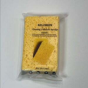 Bonus gift - Kitchen Sponge